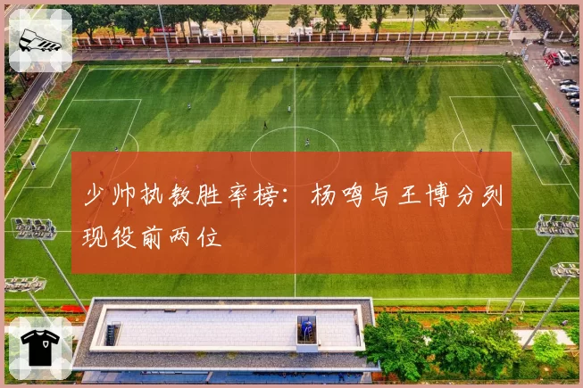 少帅执教胜率榜：杨鸣与王博分列现役前两位