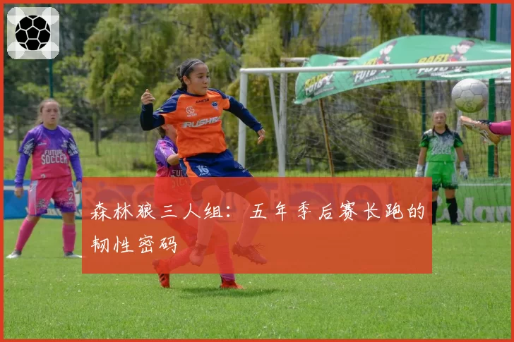 森林狼三人组:五年季后赛长跑的韧性密码
